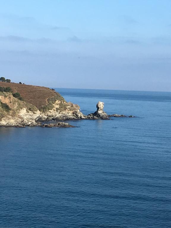 Ibis Styles Collioure Port Vendres Hotel Kültér fotó